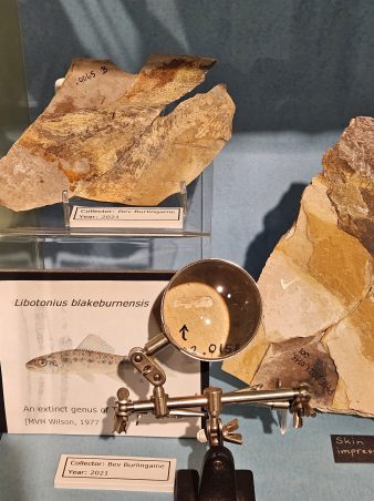 Natural History
