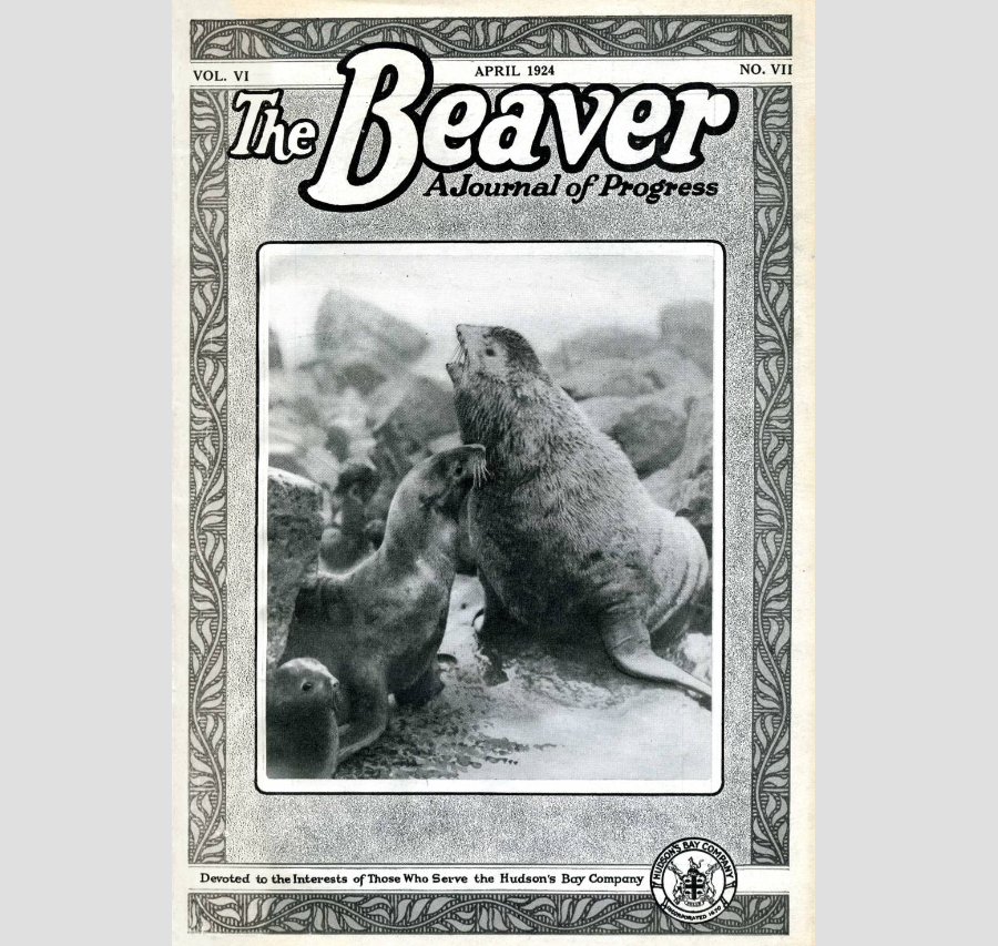 Beaver