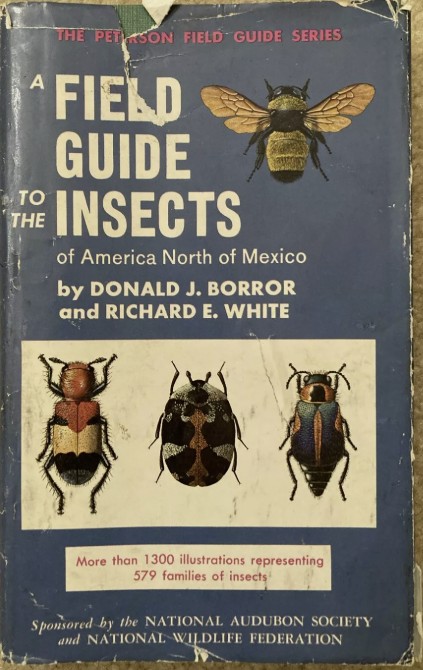 A Field Guide t the Insects...