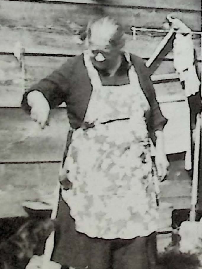 Mary Stogren