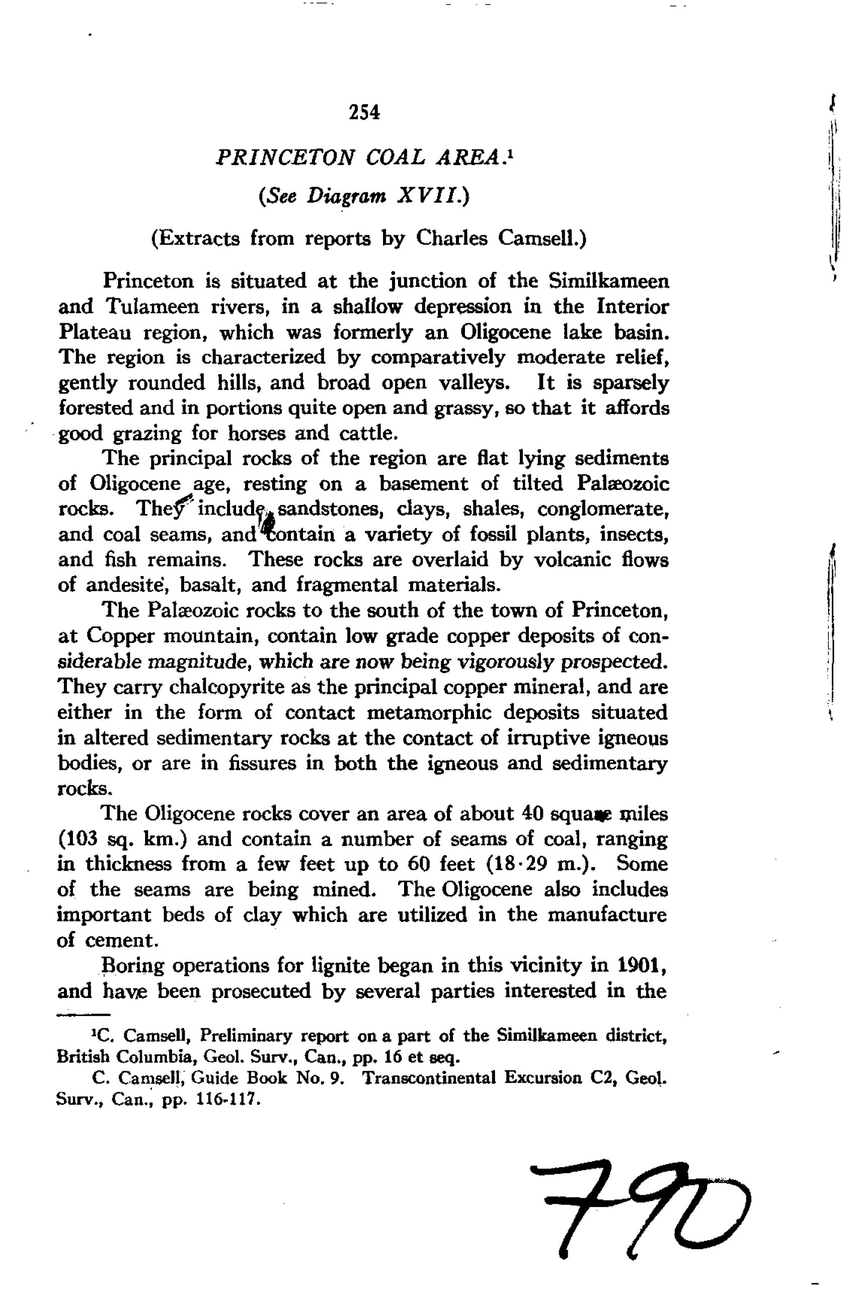 Princeton Coal Report 1900