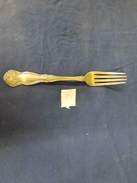 fork c-jpg637642043304861458