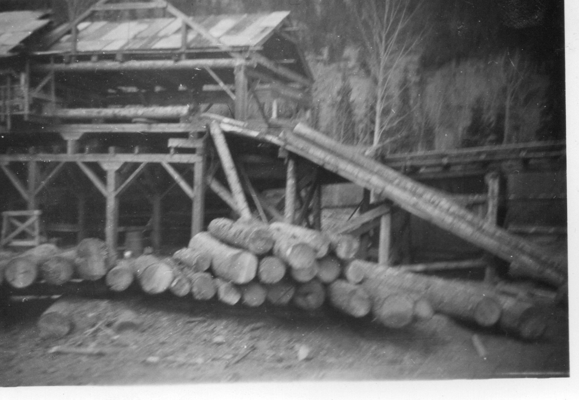 Coalmont Sawmill