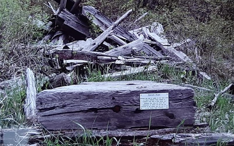 In Memory of Hattie McBride PDMAS