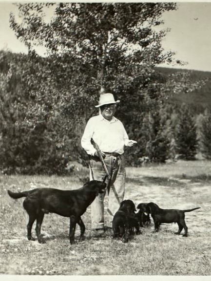 Roy Curran